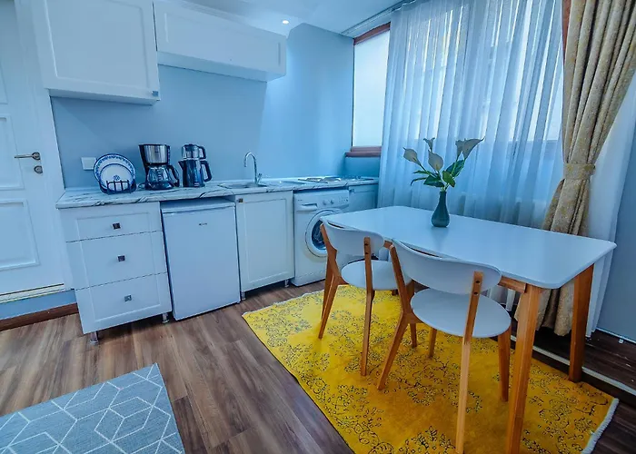 Apart Otel Galata Nil 4*